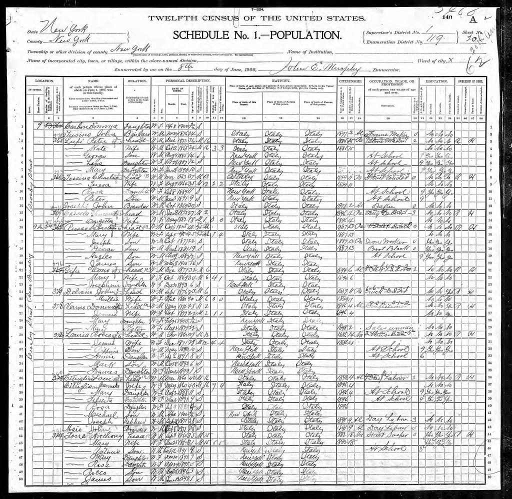 1900 United States Federal Census(3)